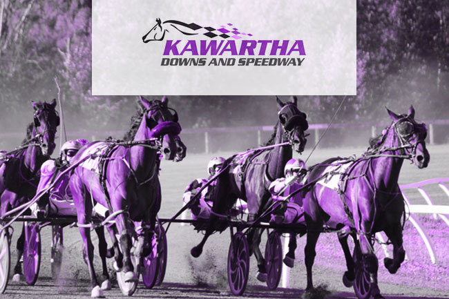 Kawartha Downs Live Racing