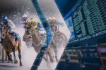 NY Senator Introduces Bill to Advance Mobile Sports Wagering